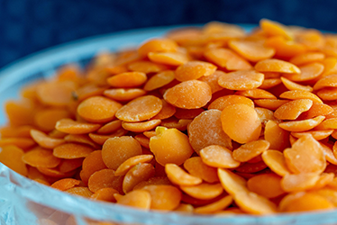 Red Lentil